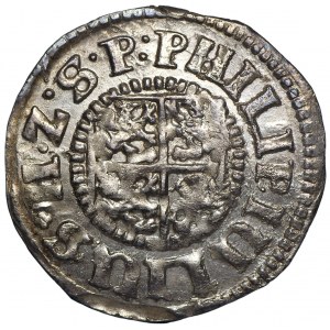 Księstwo Wołogoskie, Filip Juliusz, Grosz 1611 Nowopole