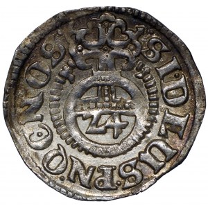 Księstwo Wołogoskie, Filip Juliusz, Grosz 1611 Nowopole
