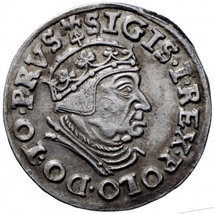 Zygmunt I Stary, Trojak 1539 Gdańsk - PRVS piękny