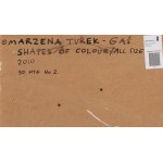 Marzena Turek-Gas (nar. 1972, Bialystok), Tvary farieb / Všetky veľkosti, 2010