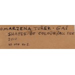 Marzena Turek-Gas (nar. 1972, Bialystok), Tvary farieb / Všetky veľkosti, 2010