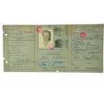 KENNKARTE / Anerkennungskarte, ausgestellt am 28.XII.1942, für eine Frau [geboren 1902], Ingenieur-Architektin, mit Foto, Warschau