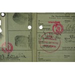 KENNKARTE / Anerkennungskarte, ausgestellt am 7.VI.1943, für eine Frau [geboren 1909], mit Foto, Warschau