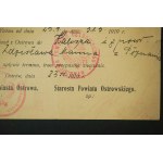 PRZEPUSTKA nr 98522 na przejazd z Ostrowa do Kalisza i z powrotem I baon 2 pułku strzelców wielkopolskich 23.4.1919r.