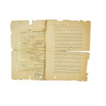ARBEITSKARTE für ausländische Arbeitskräfte / Work card for a Polish forced laborer [woman] deported for labor in the Third Reich , issued 12.7.1944.
