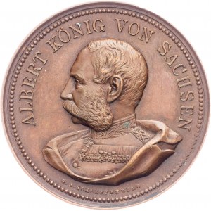 Sachsen, Medal 1893
