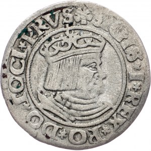 Sigismund I Old, Grosz gdanski 1531, Gdansk