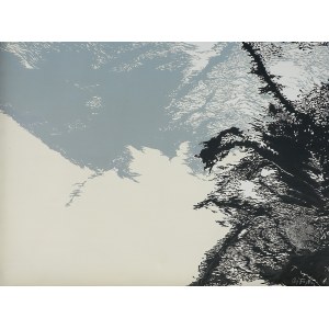 Fogtt Andrzej, SENZA TITOLO, 1979