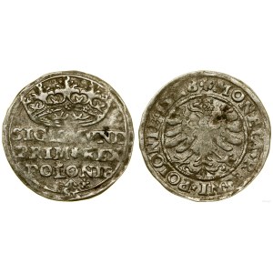 Poľsko, penny, 1528, Krakov