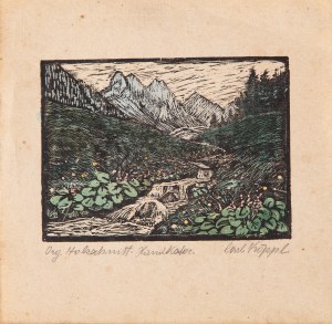 Carl KÖPPL (XX wiek), Potok w górach