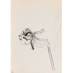 Ewa WIECZOREK (1947-2011), Set of four drawing works: 1) To the land 2) Blowfly 3) Iris, 1976 4) Magnolias in a vase and others, 1975