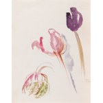Ewa WIECZOREK (1947-2011), Set of 12 studies of flowers and vegetables