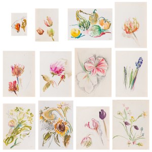 Ewa WIECZOREK (1947-2011), Set of 12 studies of flowers and vegetables