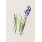 Ewa WIECZOREK (1947-2011), Set of 12 studies of flowers and vegetables