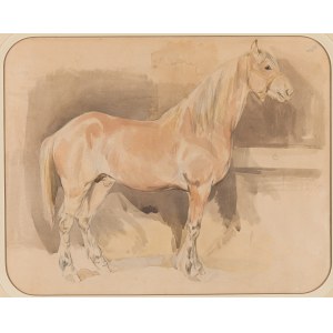 Piotr Michałowski (1800 Kraków - 1855 Krzyżtoporzyce near Kraków), Study of a horse in a stable