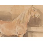 Piotr Michałowski (1800 Kraków - 1855 Krzyżtoporzyce near Kraków), Study of a horse in a stable