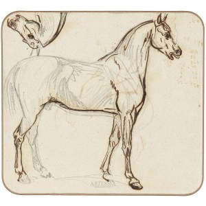 Piotr Michałowski (1800-1855), Sketches of a horse