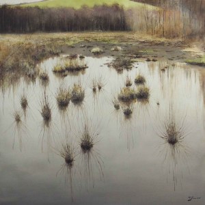 Konrad Hamada, Wetlands, 2016