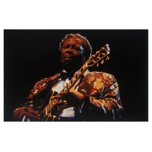 David Lefranc, BB King, 1991