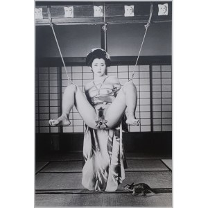 Nobuyoshi Araki, Tokyo Comedy, 1997 - 2013