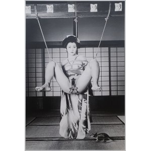 Nobuyoshi Araki, Tokio-Komödie, 1997 - 2013