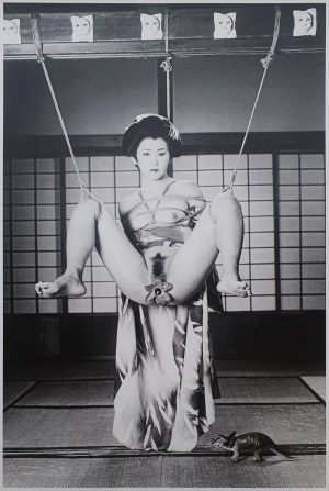 Nobuyoshi Araki, Tokyo Comedy, 1997 - 2013