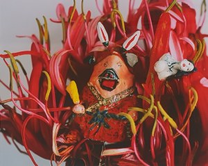 Nobuyoshi Araki, Monstrous Paradise, 2015 - 2018