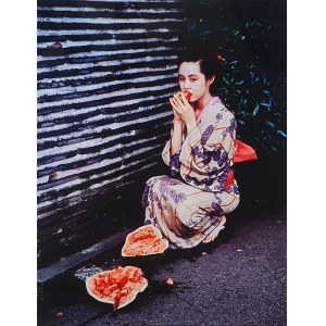 Nobuyoshi Araki, Farblandschaft, 1991