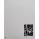 Edward Weston, Cypress, Pebble Beach, California, 1932 - 1987
