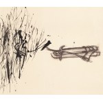 Marek Chlanda (b. 1954, Krakow), Clinical Drawing 6, 1976