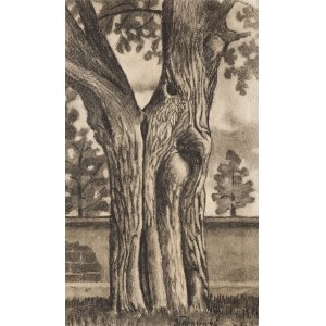 Jan Tarasin (1926 Kalisz - 2009 Warsaw), Tree, 1946