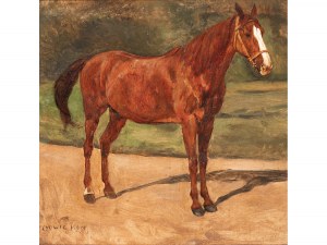 Ludwig Koch, Vienna 1866 - 1934 Vienna, Horse portrait