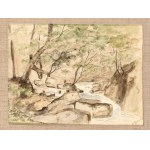Mixed lot of 5 pieces, Small-format landscape depictions