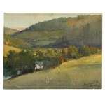 Mixed lot of 5 pieces, Small-format landscape depictions