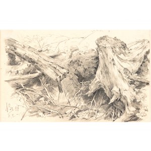 Anton Braith, Biberach an der Riß 1836 - 1905 Biberach an der Riß, Forest study