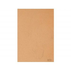 Gustav Klimt, Baumgarten 1862 - Vienna 1918, Nude Studies