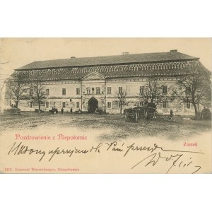 Niepołomice - Castle, 1900