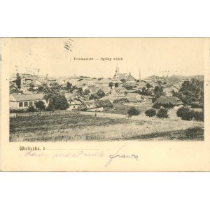 Wieliczka - Ogólny widok, ok. 1900