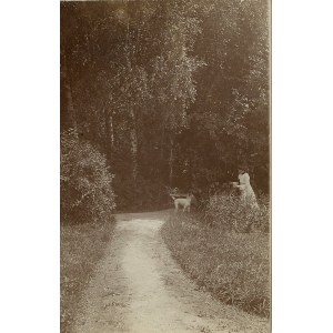 Dołęga, woj. małopolskie - W parku, ok. 1910