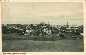 Drohobych - General view, circa 1920.