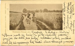 Tetmajer Włodzimierz - Return from the Harvest, 1903.