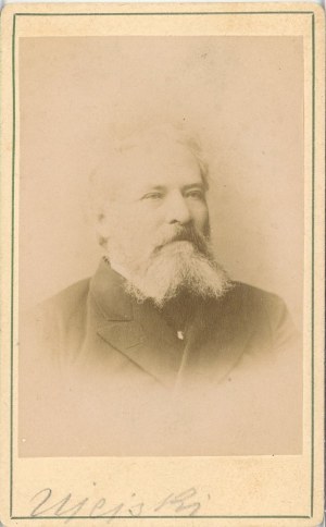 Ujejski Kornel, Poseł do Rady Państwa, ok. 1870