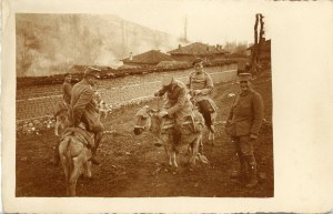 Photographie de situation, âne monté, vers 1918.