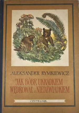 Rymkiewicz Aleksander - Jak bóbr stealthily wędrował z niedźwiadkiem. Illustriert von Roman Owidzki. Warschau 1955 