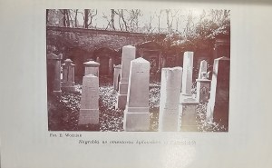 Woronczak Jan Paweł - Cultural specificity of Jewish cemeteries. Katowice 1993 Provincial Public Library in Katowice.