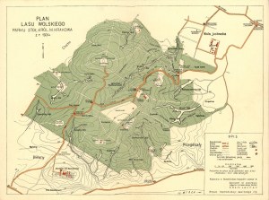 Plan Lasu Wolskiego, Kraków, 1934