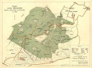 Plan de la forêt de Wolski, Cracovie, 1934