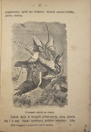 Brzeziński M[ieczysław] - Nos ennemis et nos amis parmi les oiseaux. D'après K[azimierz] Wodzicki et W[ładysław] Taczanowski sélectionné ... Wyd. 3, z 60-ma rysunkami. Varsovie 1906 Skł. w Księg. Polonais.