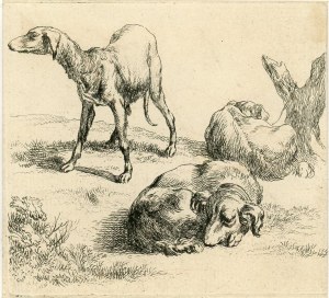 Berchem Nicolas (1620-1683) - Trzy myśliwskie psy