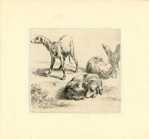 Berchem Nicolas (1620-1683) - Three hunting dogs